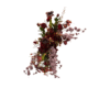 Arch Flower Red + Purple