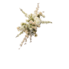 Arch FlowerChampagne + White